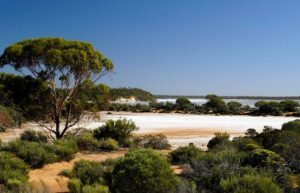 Widgimooltha Cemetery - Photo SLWA