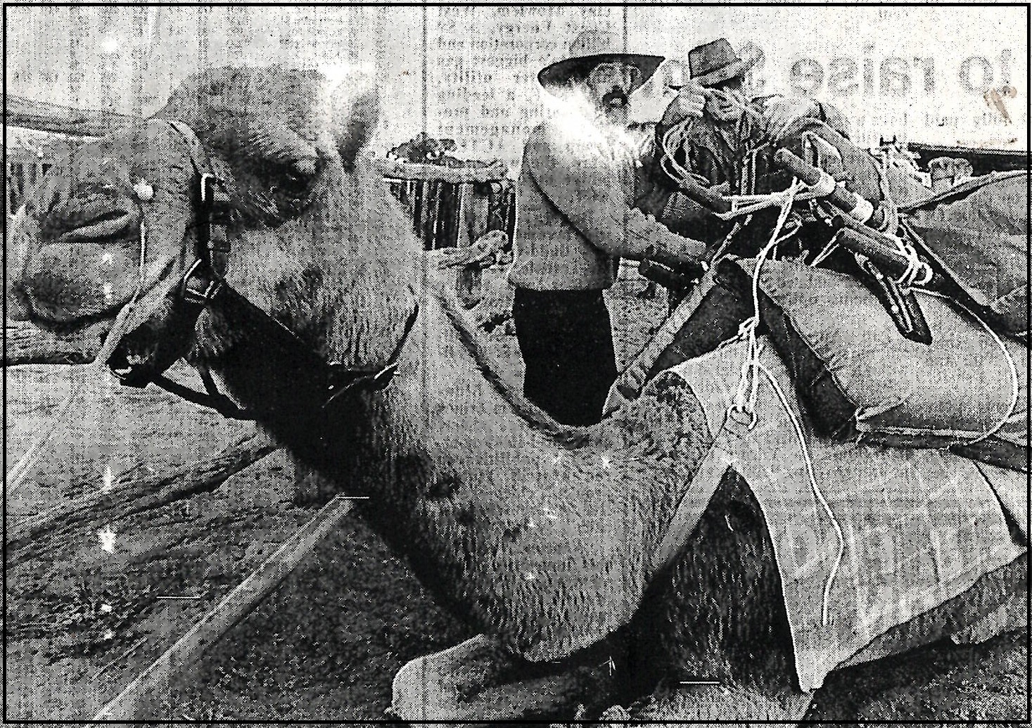 A Promise Kept: Retracing Carnegie’s Desert Odyssey - Outback Family History