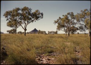 Landscape with mountain in the distance, Duck Creek and Hardey River region, Western Australia, 1950-1955 - Image SLWA