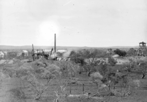 Maninga Marley GM 1906 - Photo SLWA