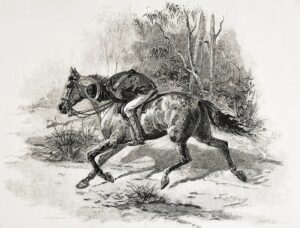 The Police Tracker