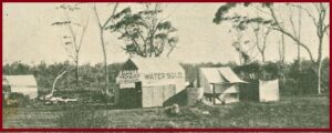 Elliotts General Emporium, Menzie 1895 - Photo TROVE