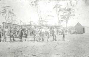 Herrich & Sons Steam Saw Mill - White Feather Road - 1896 - Photo Herrick Family