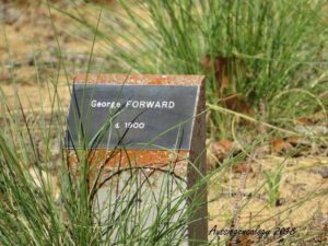 George Forward - Tampa Cemetery - Image Aussie Genealogy