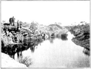 Dingo Creek (Tampa) - 1905 - Image TROVE