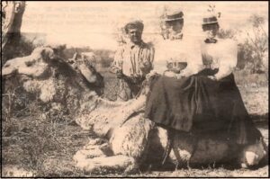 Alicia Buscombe aged 27yrs with Amy Argyle (nee Buscombe) aged 36yrs and a cameleer in 1900 - Image TROVE