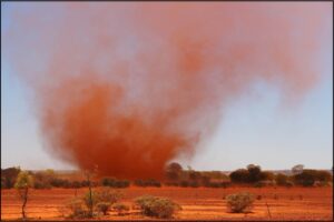 Outback 'willie willie' - Image SLWA