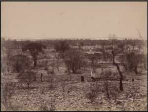 The 90 Mile later Goongarrie - 1896 - Image SLWA