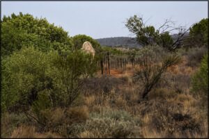 Silverton Cemetery. Beth’s body lies somewhere within these grounds in an unmarked grave along with the skeletal remains of other pioneers. Photo by Helen Murray, Silverton Photography.