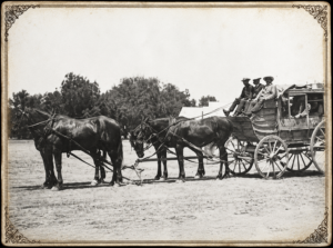Frederick Crews driving a coach in Renmark SA - Photo Ancestry.com
