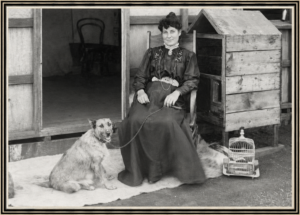 The above photograph, taken in 1909, shows Catherine in the yard of her home at 162 MacDonald Street, Kalgoorlie, with her faithful dog and (I hope that this was not the cage of the stolen canary).