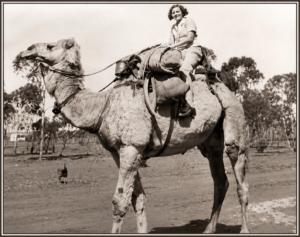 Jean Pollard on a riding camel in the early 1930's - Photo Helen Astrand.
