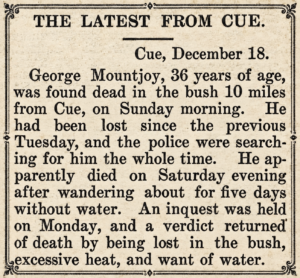 Geraldton Murchison Telegraph 20 December 1895, page 3