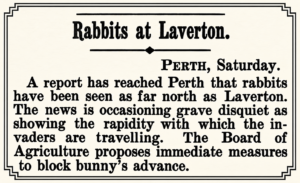 The Sun 19 Jun 1901