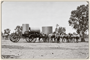 Jim Lapsleys Drays carting water tanks at Doyles Well 1926 - Image SLWA